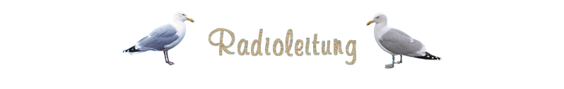 Radioleitung